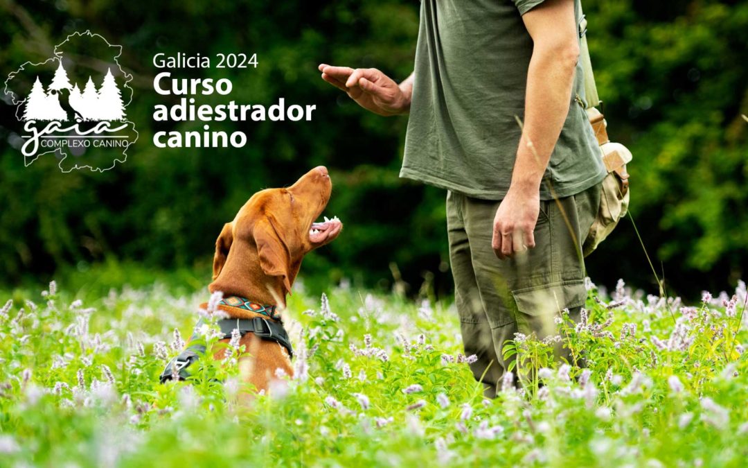 Curso adiestrador canino – Galicia 2024